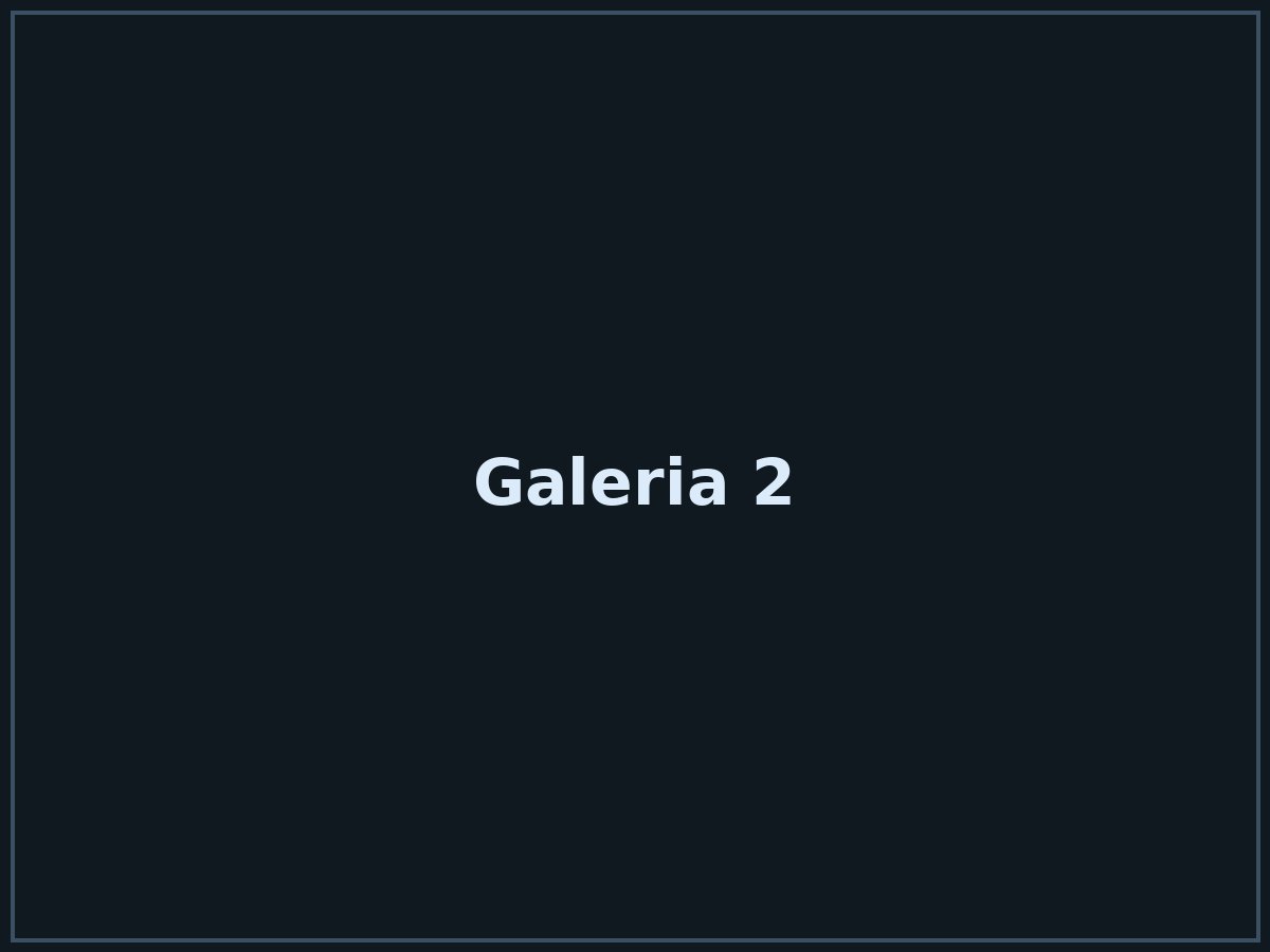 Realizacja 2