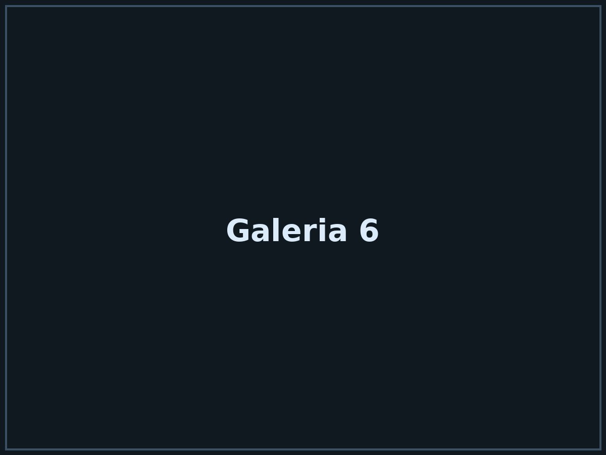 Realizacja 6